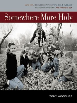 cover image of Somewhere More Holy